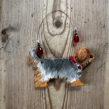 Load image into Gallery viewer, Yorkshire Terrier