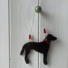 Load image into Gallery viewer, Curly Coated Retriever Decoration