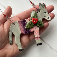 Load image into Gallery viewer, Donkey in a Jumper