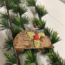 Load image into Gallery viewer, Hedgehogs