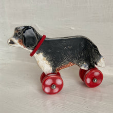 Load image into Gallery viewer, King Charles Cavalier