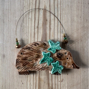 Hedgehogs