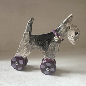 Grey Schnauzer "Woofs on Wheels"