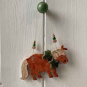 Pony Decoration