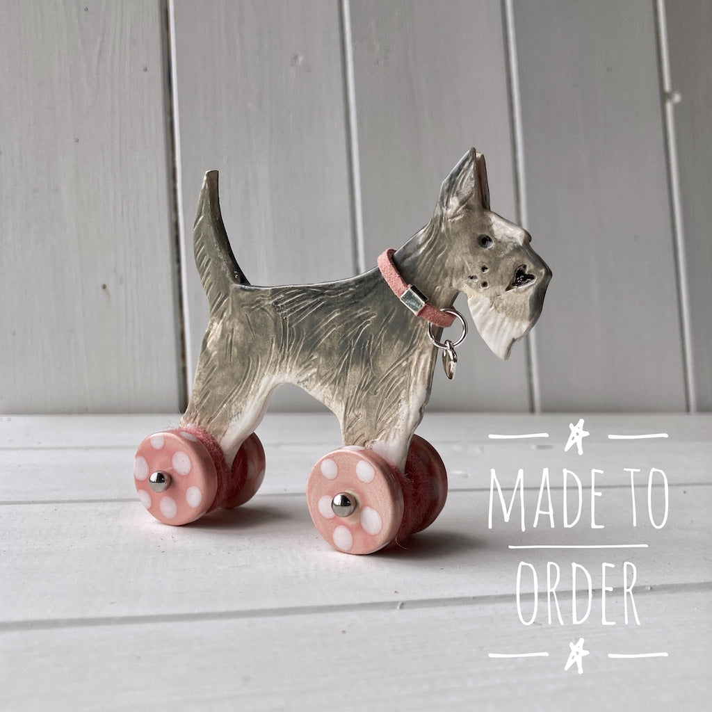 Grey Schnauzer 
