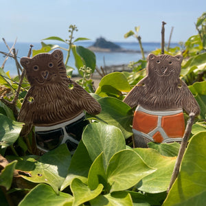 Bear in Y-Fronts