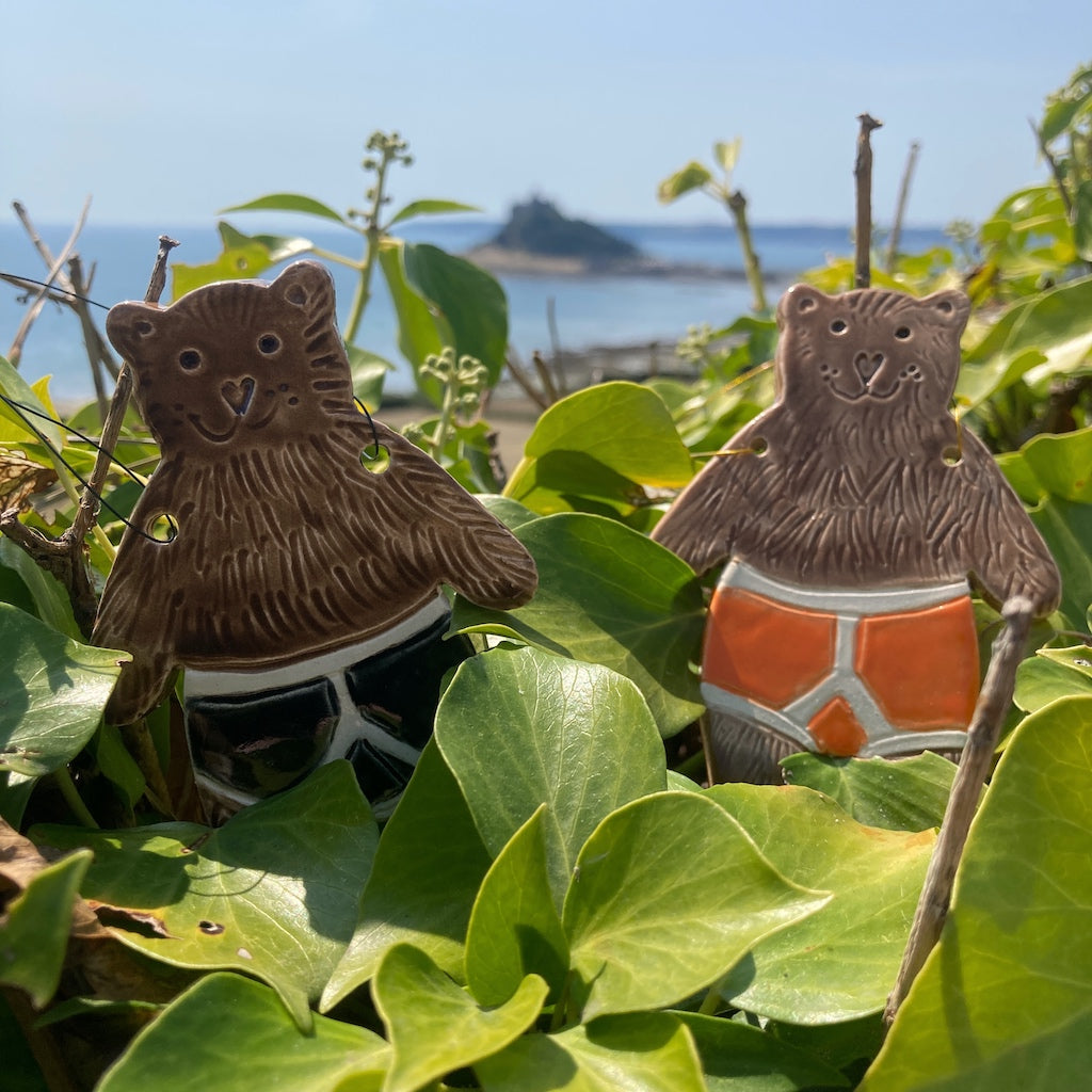 Bear in Y-Fronts